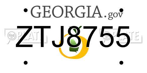 ZTJ8755 Georgia License Plate