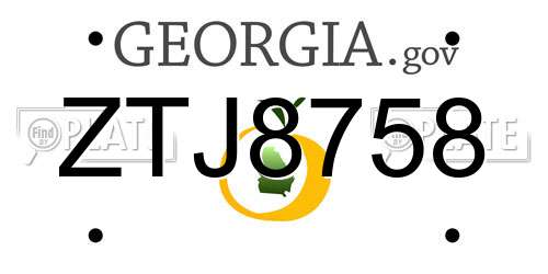 ZTJ8758 Georgia License Plate