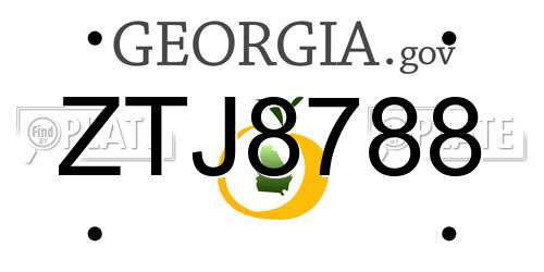 ZTJ8788 Georgia License Plate