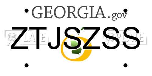 ZTJSZSS Georgia License Plate
