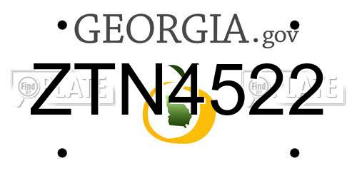 ZTN4522 Georgia License Plate