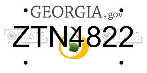 ZTN4822 Georgia License Plate