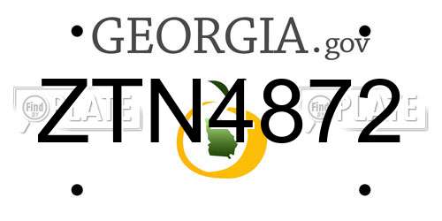 ZTN4872 Georgia License Plate