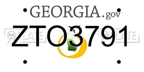 ZTO3791 Georgia License Plate
