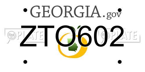 ZTO602 Georgia License Plate