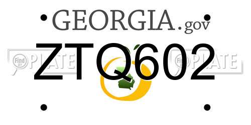 ZTQ602 Georgia License Plate