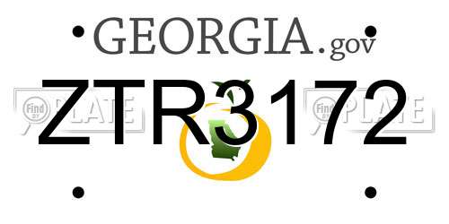 ZTR3172 Georgia License Plate