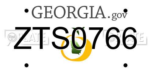 ZTS0766 Georgia License Plate