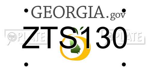 ZTS130 Georgia License Plate