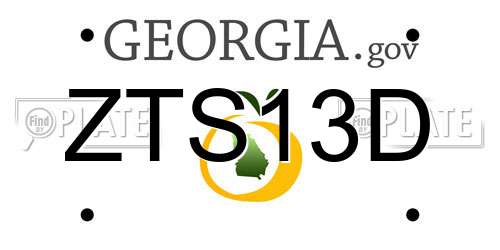 ZTS13D Georgia License Plate