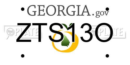 ZTS13O Georgia License Plate