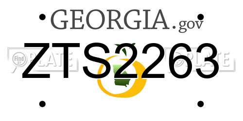 ZTS2263 Georgia License Plate