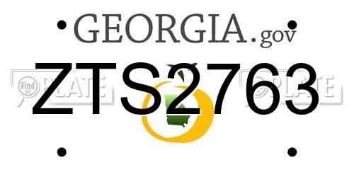 ZTS2763 Georgia License Plate