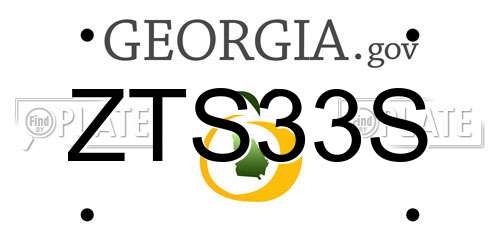ZTS33S Georgia License Plate