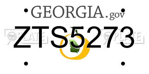 ZTS5273 Georgia License Plate
