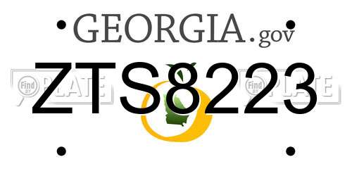 ZTS8223 Georgia License Plate