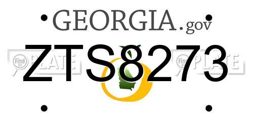 ZTS8273 Georgia License Plate