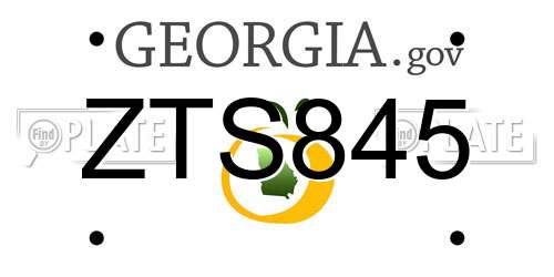 ZTS845 Georgia License Plate
