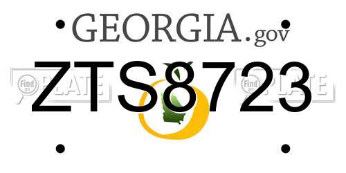 ZTS8723 Georgia License Plate