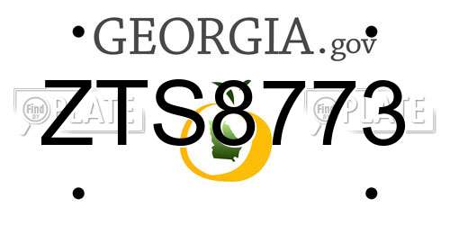 ZTS8773 Georgia License Plate