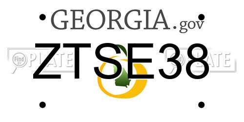 ZTSE38 Georgia License Plate