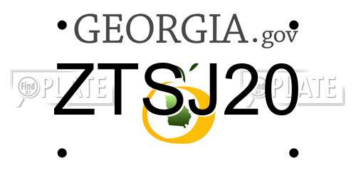 ZTSJ20 Georgia License Plate