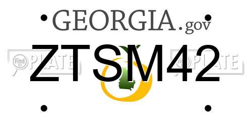 ZTSM42 Georgia License Plate