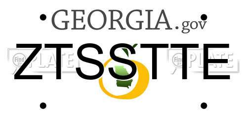 ZTSSTTE Georgia License Plate