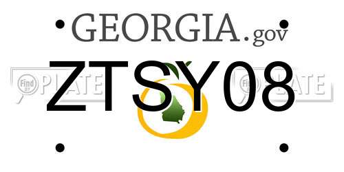 ZTSY08 Georgia License Plate