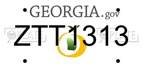 ZTT1313 Georgia License Plate