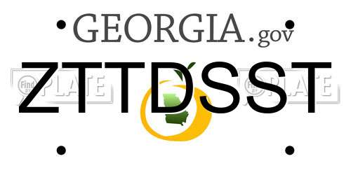 ZTTDSST Georgia License Plate