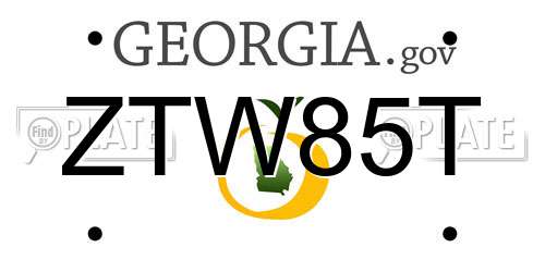 ZTW85T Georgia License Plate