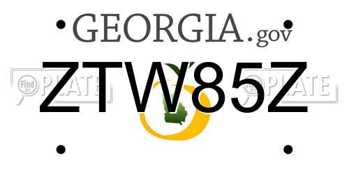 ZTW85Z Georgia License Plate