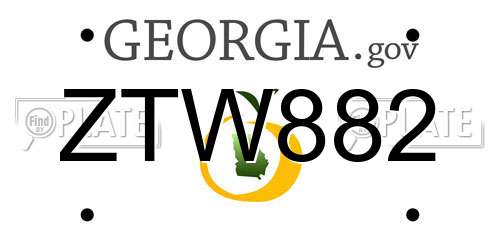 ZTW882 Georgia License Plate
