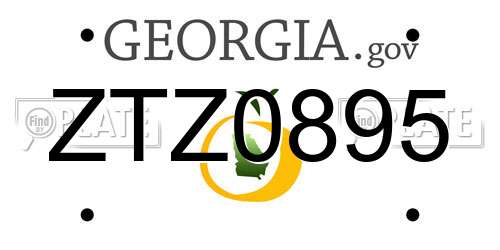 ZTZ0895 Georgia License Plate