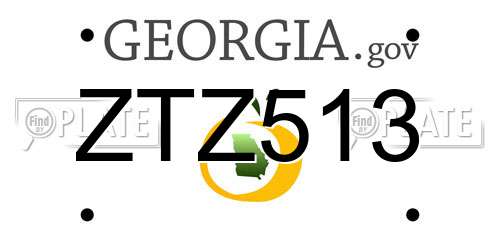 ZTZ513 Georgia License Plate