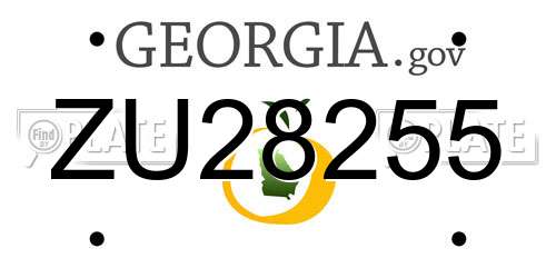 ZU28255 Georgia License Plate