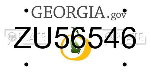 ZU56546 Georgia License Plate