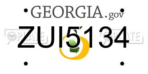 ZUI5134 Georgia License Plate