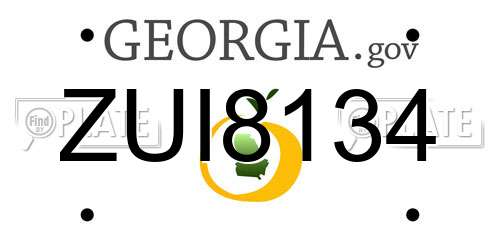 ZUI8134 Georgia License Plate