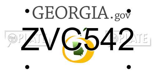 ZVC542 Georgia License Plate