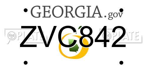 ZVC842 Georgia License Plate
