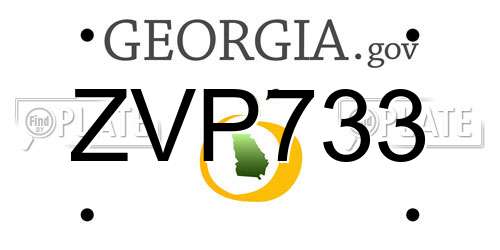 ZVP733 Georgia License Plate