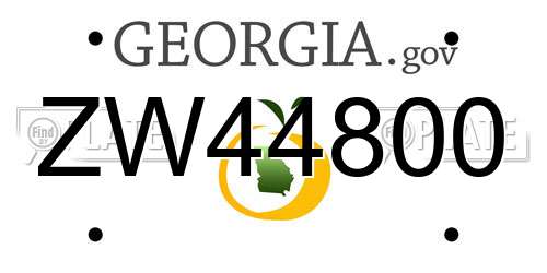ZW44800 Georgia License Plate