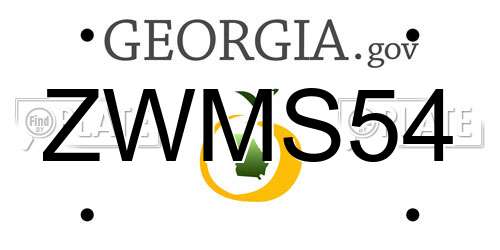 ZWMS54 Georgia License Plate
