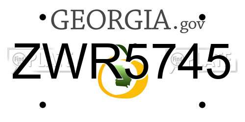 ZWR5745 Georgia License Plate