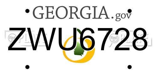 ZWU6728 Georgia License Plate