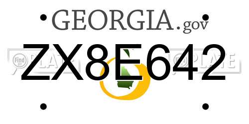 ZX8E642 Georgia License Plate
