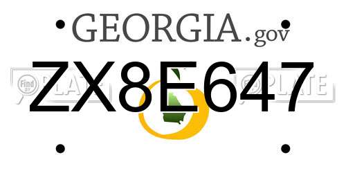 ZX8E647 Georgia License Plate