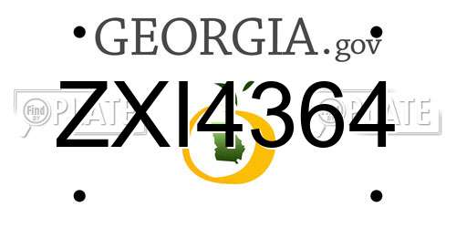 ZXI4364 Georgia License Plate